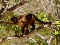 ブラジリア ブラジルの世界遺産 Brasilia worldheritage Brazil