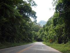 大西洋岸森林南東部の保護区群 Atlantic Forest South-East Reserves