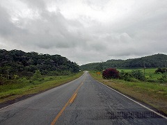 大西洋岸森林南東部の保護区群 Atlantic Forest South-East Reserves