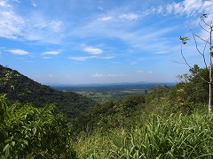 大西洋岸森林南東部の保護区群 Atlantic Forest South-East Reserves