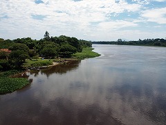 大西洋岸森林南東部の保護区群 Atlantic Forest South-East Reserves