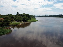 吼mݐXѓ쓌̕یQ Atlantic Forest South-East Reserves