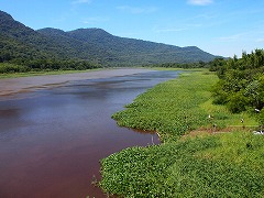 大西洋岸森林南東部の保護区群 Atlantic Forest South-East Reserves