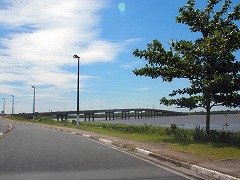 大西洋岸森林南東部の保護区群 Atlantic Forest South-East Reserves