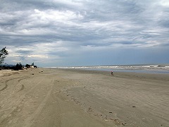 大西洋岸森林南東部の保護区群 Atlantic Forest South-East Reserves