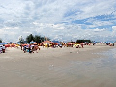 大西洋岸森林南東部の保護区群 Atlantic Forest South-East Reserves