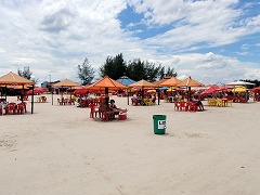 大西洋岸森林南東部の保護区群 Atlantic Forest South-East Reserves