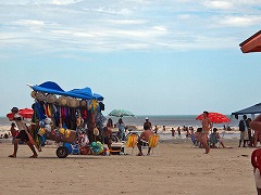 大西洋岸森林南東部の保護区群 Atlantic Forest South-East Reserves