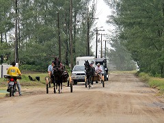大西洋岸森林南東部の保護区群 Atlantic Forest South-East Reserves