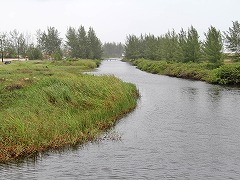 大西洋岸森林南東部の保護区群 Atlantic Forest South-East Reserves