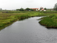 大西洋岸森林南東部の保護区群 Atlantic Forest South-East Reserves