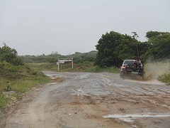 大西洋岸森林南東部の保護区群 Atlantic Forest South-East Reserves