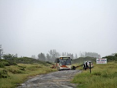 大西洋岸森林南東部の保護区群 Atlantic Forest South-East Reserves