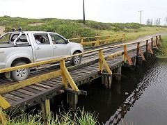大西洋岸森林南東部の保護区群 Atlantic Forest South-East Reserves
