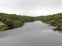 大西洋岸森林南東部の保護区群 Atlantic Forest South-East Reserves