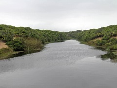 吼mݐXѓ쓌̕یQ Atlantic Forest South-East Reserves