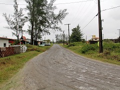 大西洋岸森林南東部の保護区群 Atlantic Forest South-East Reserves