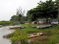 大西洋岸森林南東部の保護区群 Atlantic Forest South-East Reserves