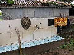 大西洋岸森林南東部の保護区群 Atlantic Forest South-East Reserves