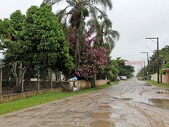 大西洋岸森林南東部の保護区群 Atlantic Forest South-East Reserves