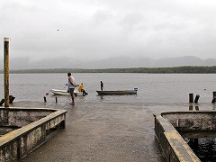 吼mݐXѓ쓌̕یQ Atlantic Forest South-East Reserves