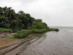 大西洋岸森林南東部の保護区群 Atlantic Forest South-East Reserves