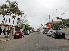 大西洋岸森林南東部の保護区群 Atlantic Forest South-East Reserves