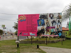 大西洋岸森林南東部の保護区群 Atlantic Forest South-East Reserves