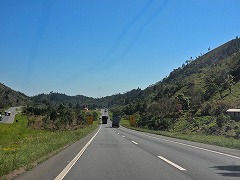 大西洋岸森林南東部の保護区群 Atlantic Forest South-East Reserves