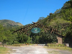 大西洋岸森林南東部の保護区群 Atlantic Forest South-East Reserves
