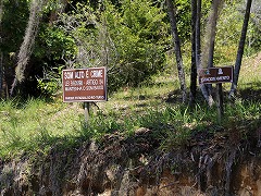 大西洋岸森林南東部の保護区群 Atlantic Forest South-East Reserves