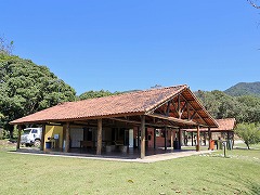 大西洋岸森林南東部の保護区群 Atlantic Forest South-East Reserves