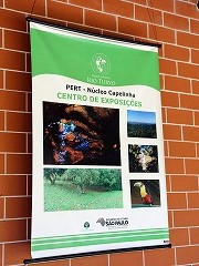 大西洋岸森林南東部の保護区群 Atlantic Forest South-East Reserves