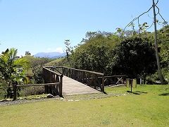 大西洋岸森林南東部の保護区群 Atlantic Forest South-East Reserves