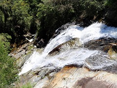 大西洋岸森林南東部の保護区群 Atlantic Forest South-East Reserves