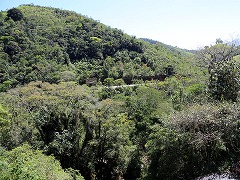 大西洋岸森林南東部の保護区群 Atlantic Forest South-East Reserves
