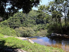 大西洋岸森林南東部の保護区群 Atlantic Forest South-East Reserves