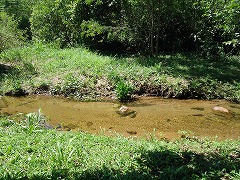 大西洋岸森林南東部の保護区群 Atlantic Forest South-East Reserves