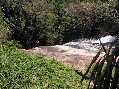 大西洋岸森林南東部の保護区群 Atlantic Forest South-East Reserves