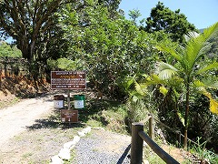 大西洋岸森林南東部の保護区群 Atlantic Forest South-East Reserves