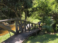 大西洋岸森林南東部の保護区群 Atlantic Forest South-East Reserves