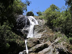 大西洋岸森林南東部の保護区群 Atlantic Forest South-East Reserves