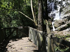 大西洋岸森林南東部の保護区群 Atlantic Forest South-East Reserves
