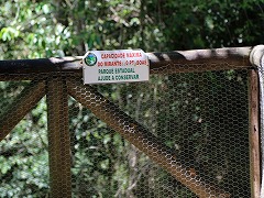 大西洋岸森林南東部の保護区群 Atlantic Forest South-East Reserves
