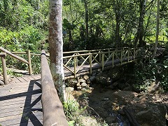 大西洋岸森林南東部の保護区群 Atlantic Forest South-East Reserves