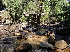 大西洋岸森林南東部の保護区群 Atlantic Forest South-East Reserves