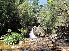 大西洋岸森林南東部の保護区群 Atlantic Forest South-East Reserves