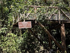 大西洋岸森林南東部の保護区群 Atlantic Forest South-East Reserves