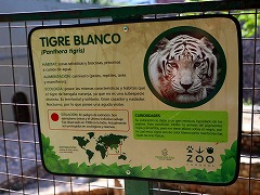 コルドバ アルゼンチン/cordoba argentina