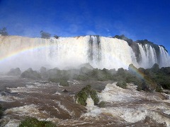 COAX Iguaçu National Park 